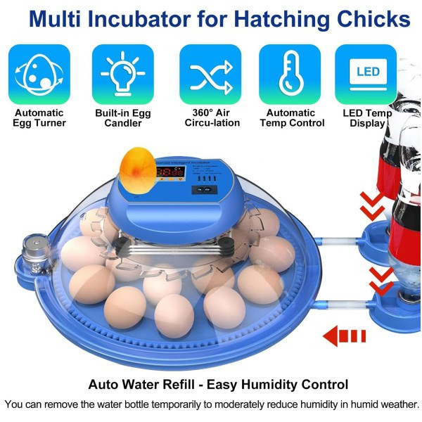 18 Egg Automatic Incubator - AC and DC Dual Power, Auto Temperature with Automatic Egg Turning Control - Round Clear Window18 Egg Incubator